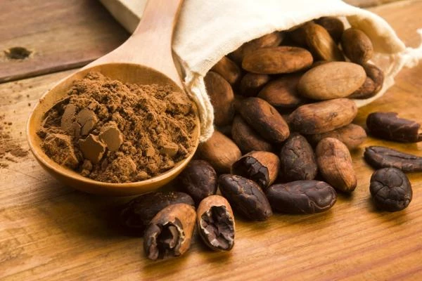 Germany's Cocoa Bean Price Falls Slightly, Average Price $2,761/Ton